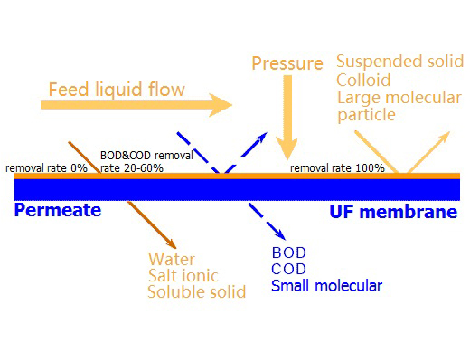 UF Membrane Fundamentals.jpg